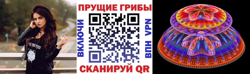 Псилоцибиновые грибы ЛСД  mega ONION  Райчихинск 