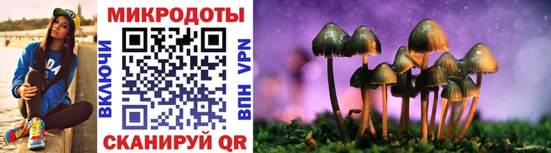 Псилоцибиновые грибы GOLDEN TEACHER Райчихинск