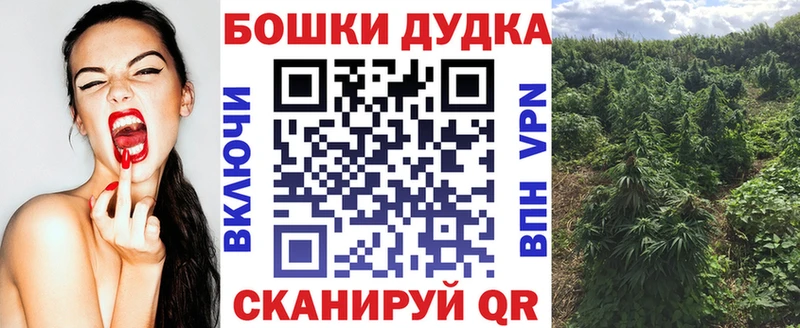 где купить наркоту  MEGA ONION  Канабис сатива  Райчихинск 
